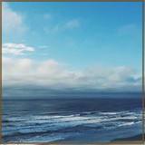 MeteSes