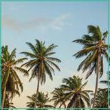 OkanUsta