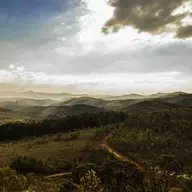 KralKare