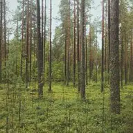 GeceEksen
