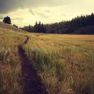 AsilKamera