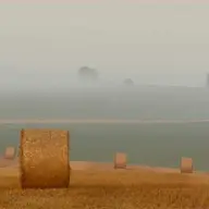 SahilZaman