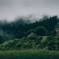 YildizDalga