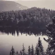 NovaYorumcu