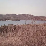 GolgeVites