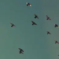 TurboMotor
