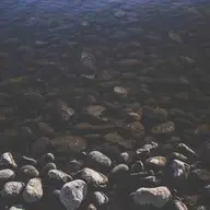 KuzeyZaman
