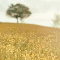 KobaltUfuk